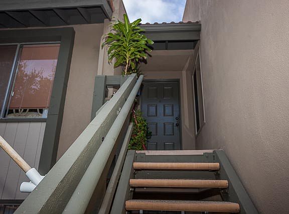 3rd image of 245 Oak Leaf Dr #203