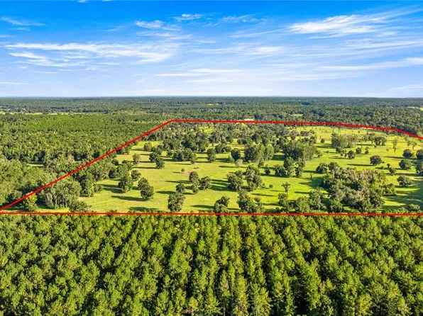 17748 N Highway 329, Reddick, FL 32686