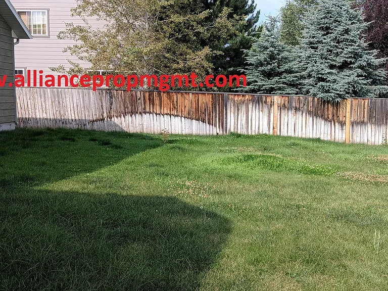 2907 Lily Dr — Photo 12
