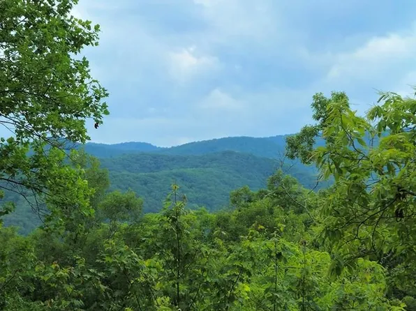 2.66 Sams Branch Rd, Marble, NC 28905