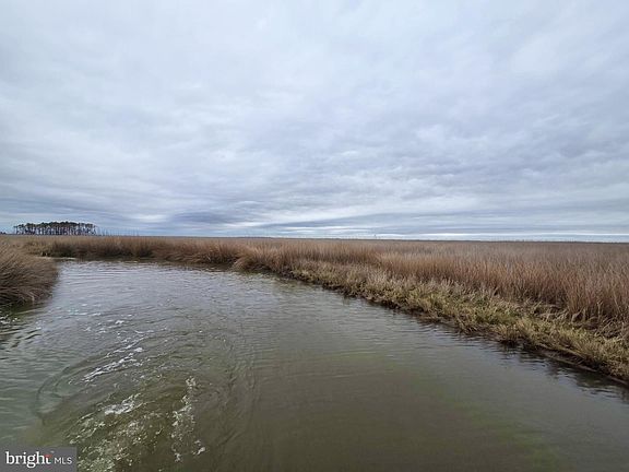 4th image of Duck Sika & Waterfowl Muskrat Hbr