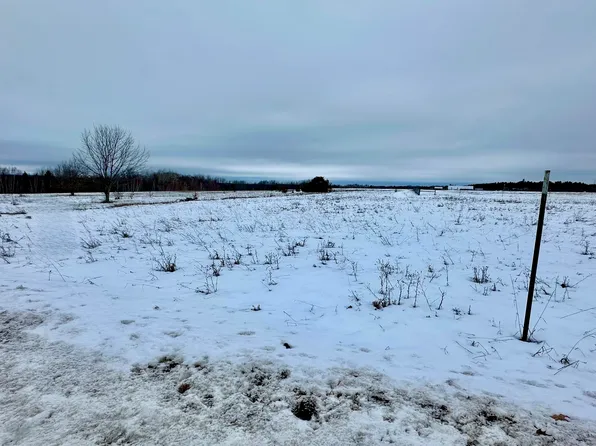 Mullett View Rd, Cheboygan, MI 49721