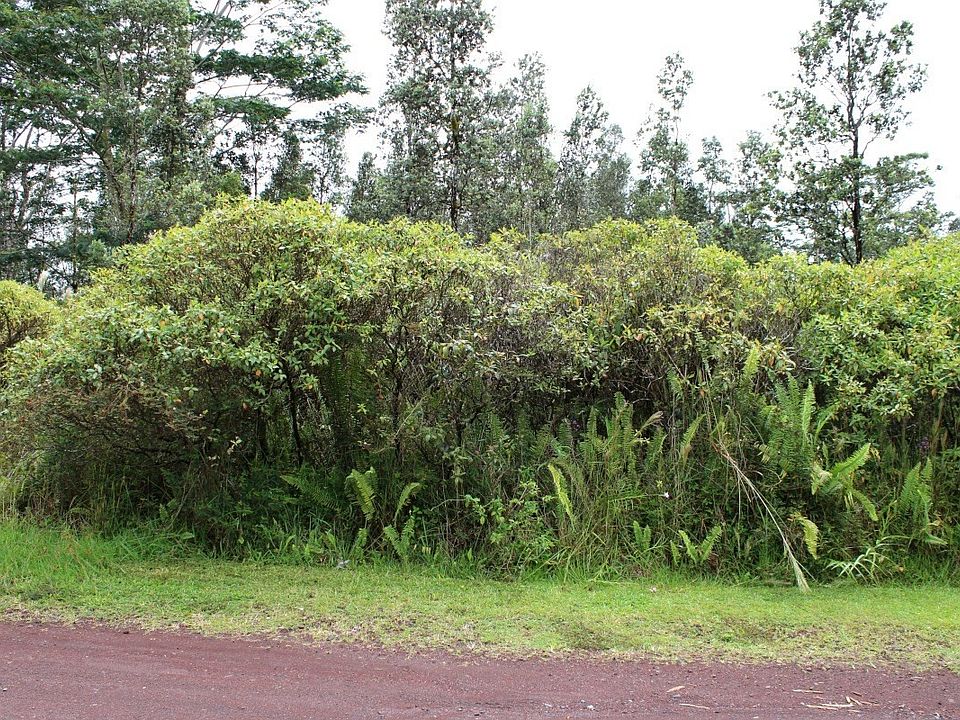 1st image of Pukalani Dr Lot 30