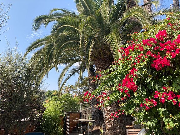 side garden