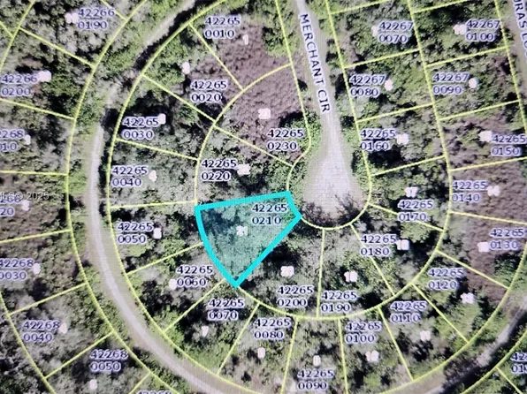 1825 Merchant Cir, Lehigh Acres, FL 33972