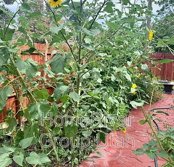 417 E Cleveland Ave — Photo 20