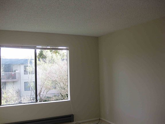 5th image of 3304 Shelter Creek Ln