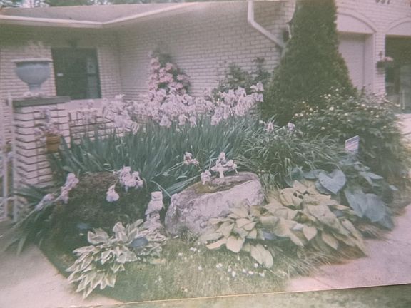 3rd image of 337 Honey Jane Dr