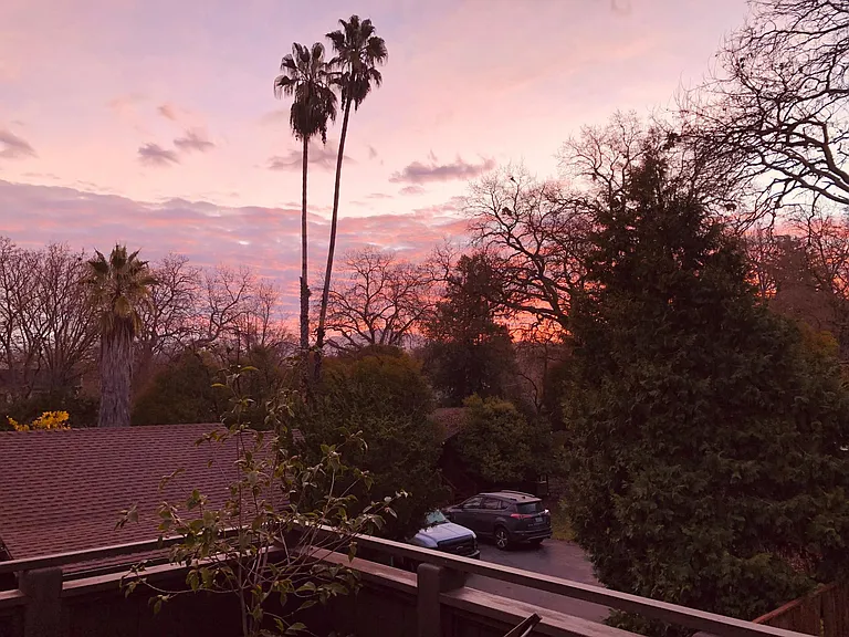 2550 San Miguel Dr #B — Photo 8