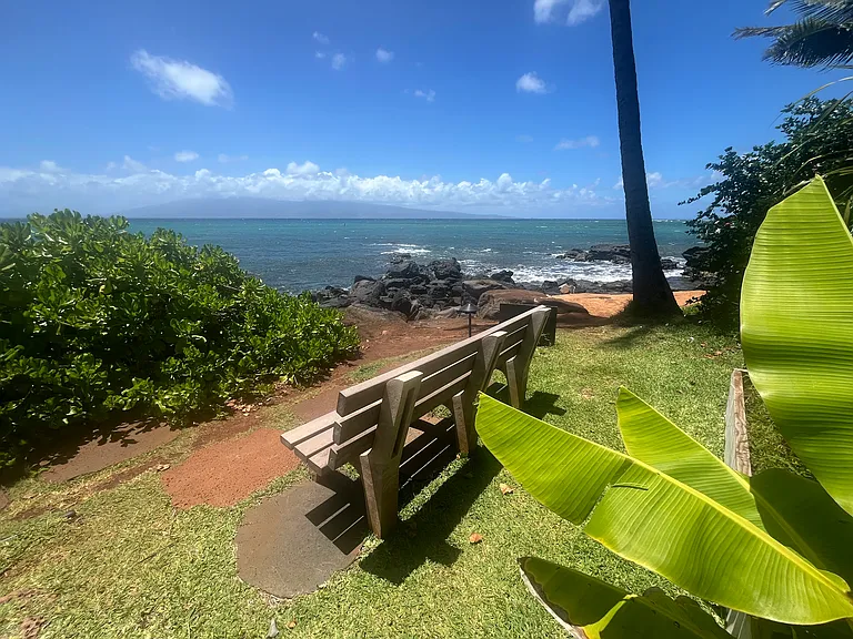 4057 Lower Honoapiilani Rd — Photo 28