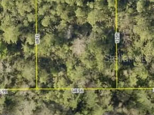 0 Plumosus Ct Lot 2080, Deland, FL 32724