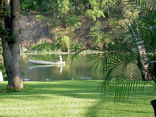 Back yard