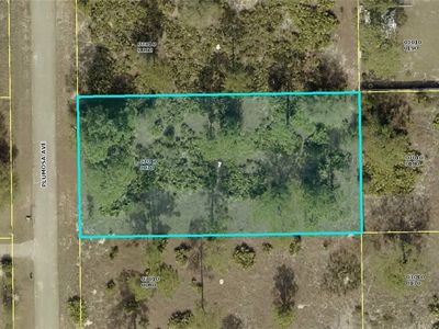 1610 Plumosa Ave, Lehigh Acres, FL, 33972