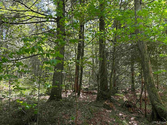 2nd image of Off E Lake Rd