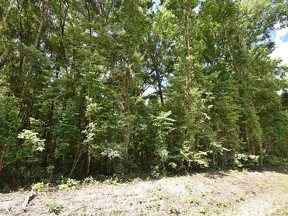 5th image of  NE 312th Ave