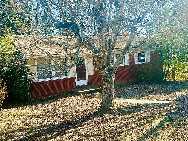 36 Harnett St — Photo 3