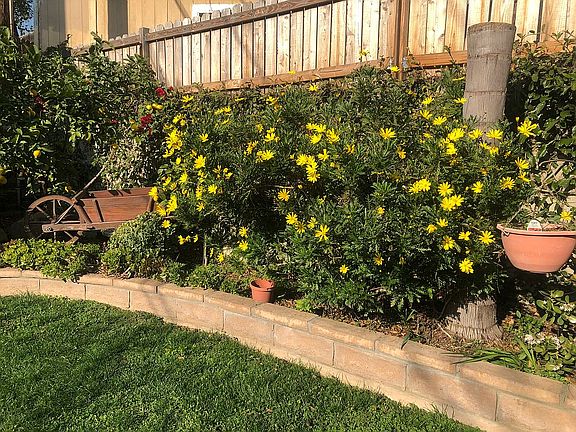2nd image of 2723 Altura Ave