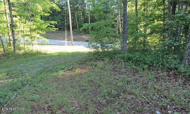 2nd image of 0 Green Ridge Trl Lot 36