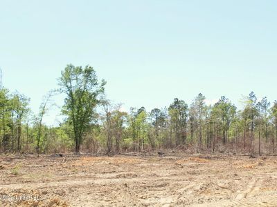Cottonwood Dr Lot 2, Lucedale, MS, 39452
