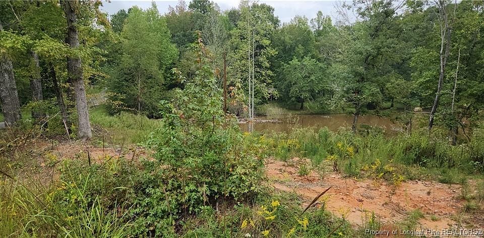 2nd image of 10 Jasmine Rd