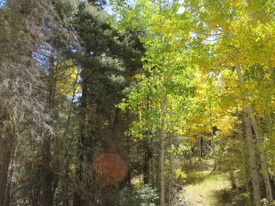 Sierra Blanca Trl LOT 8, Angel Fire, NM, 87710