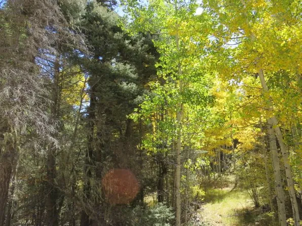 Sierra Blanca Trl Lot 8, Angel Fire, NM 87710