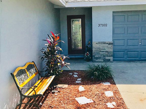 Front entry door/garden 