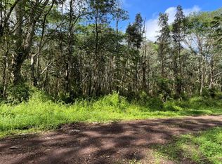 14-3346 Alii Rd LOT 1191, Pahoa, HI 96778