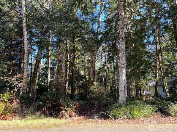 336 Hyde Court NE, Ocean Shores, WA 98569