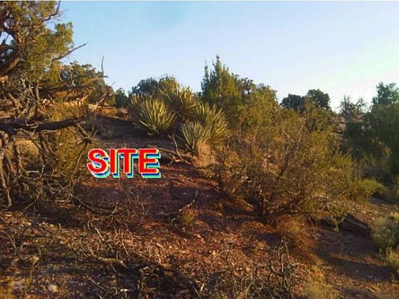 4th image of 8372 Silver Creek Dr