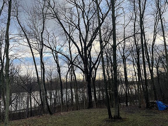 2nd image of 12565 S River Rd