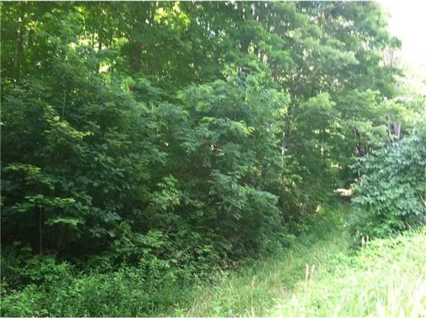 Maple Summit Rd, Mill Run, PA 15464