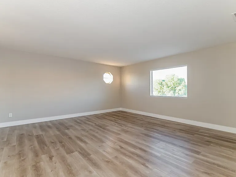 1079 Harpy Eagle Ave — Photo 9