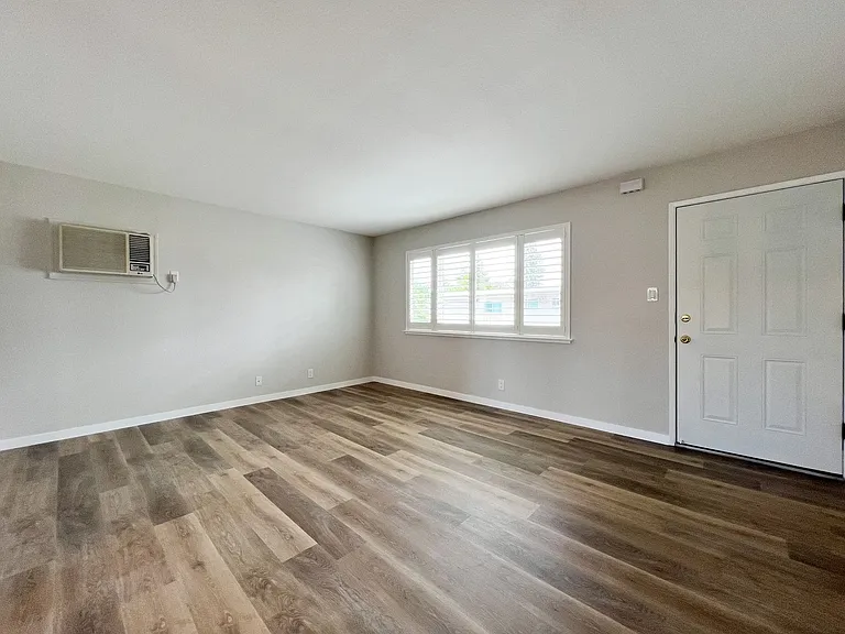 Pine, 1782* — Photo 5