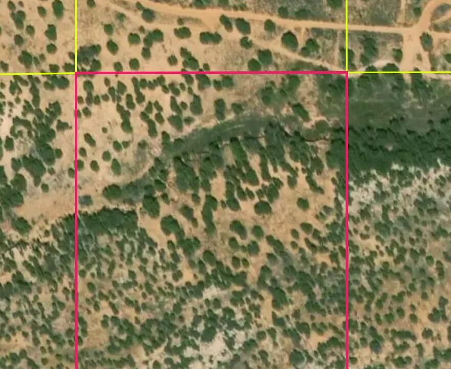 2nd image of Champos Rd