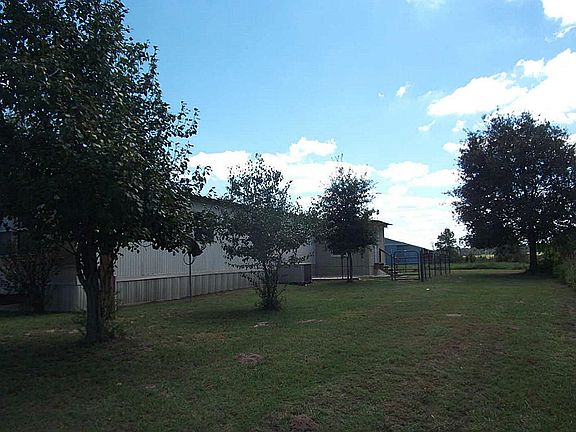 back and yard