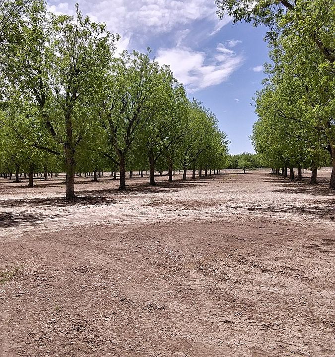 1st image of 4874 Highway 478