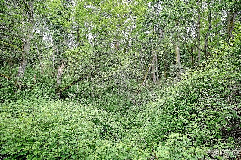 5th image of 1802 Amber View Place