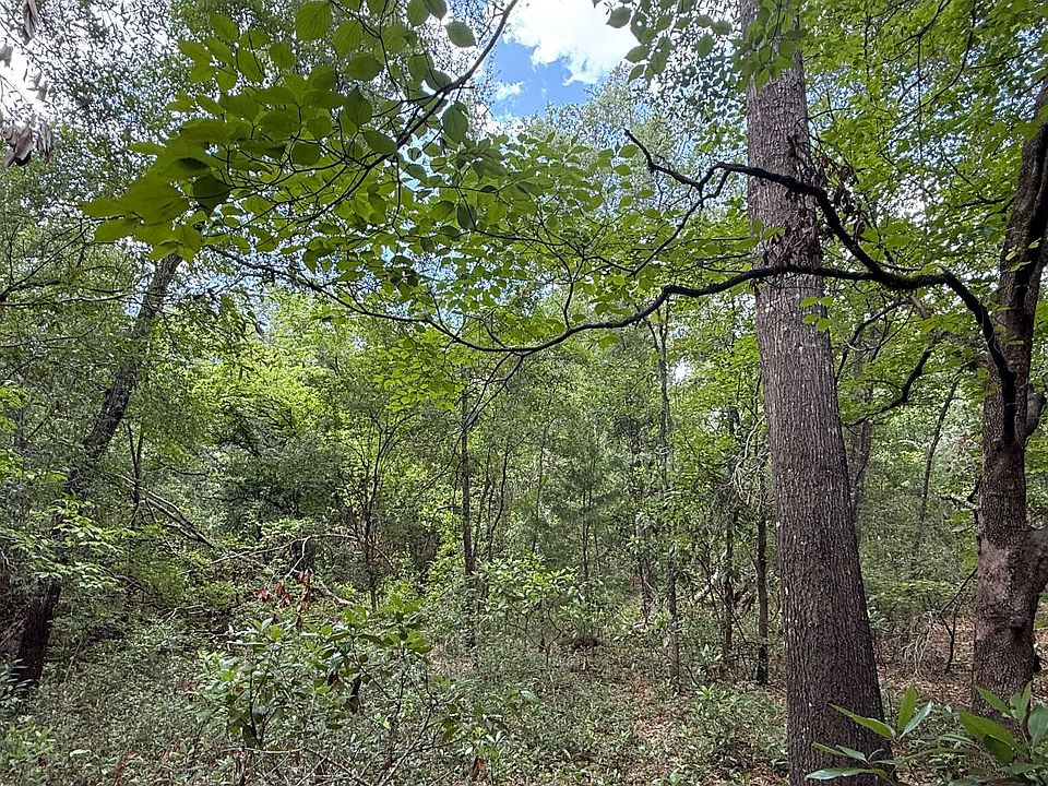 2nd image of Tbd Sw Spruce Rd