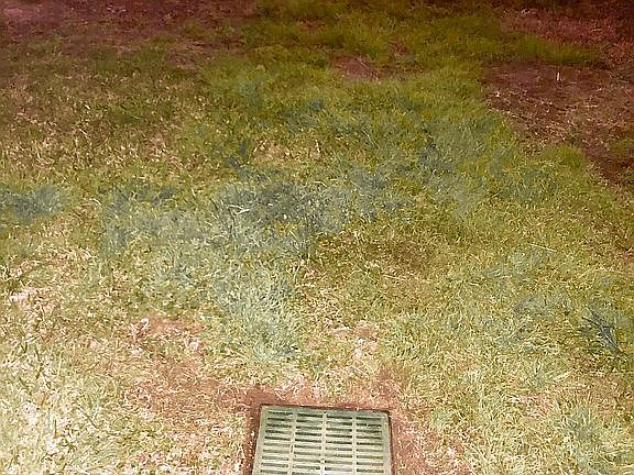 drainage middle of backyard