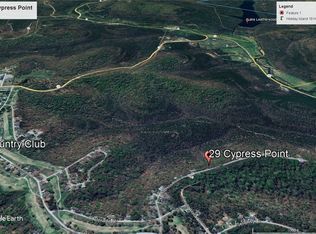 29 Cypress Point Ln #5, Eureka Springs, AR 72631