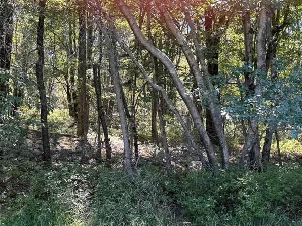 LOT 45 Elk Dr, Blakeslee, PA 18610