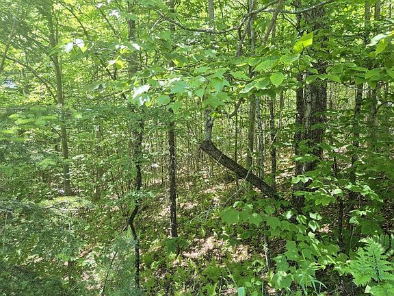 4th image of MU23 L19B Holley Road