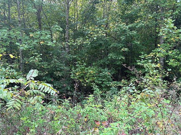 3rd image of Mountain Ridge Church Rd