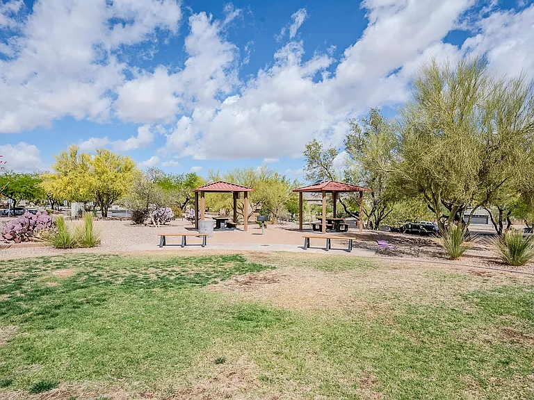 10568 E Native Rose Trl — Photo 46