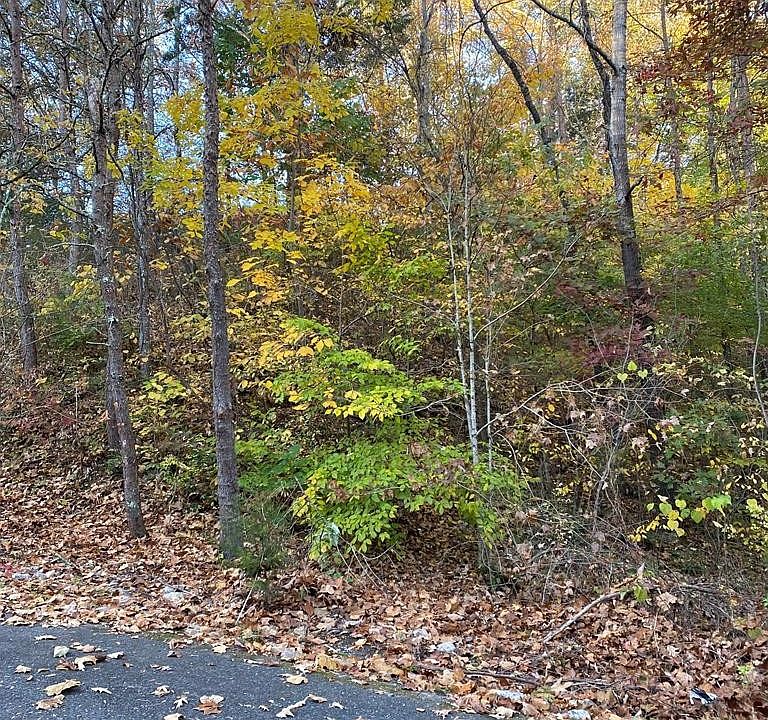 1st image of 21 Smoky Mountain Way Lot 21