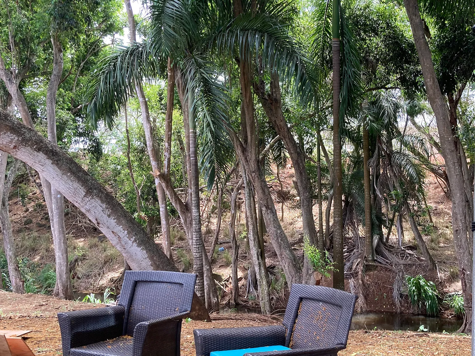 Kamehameha Hwy, Haleiwa — Photo 2