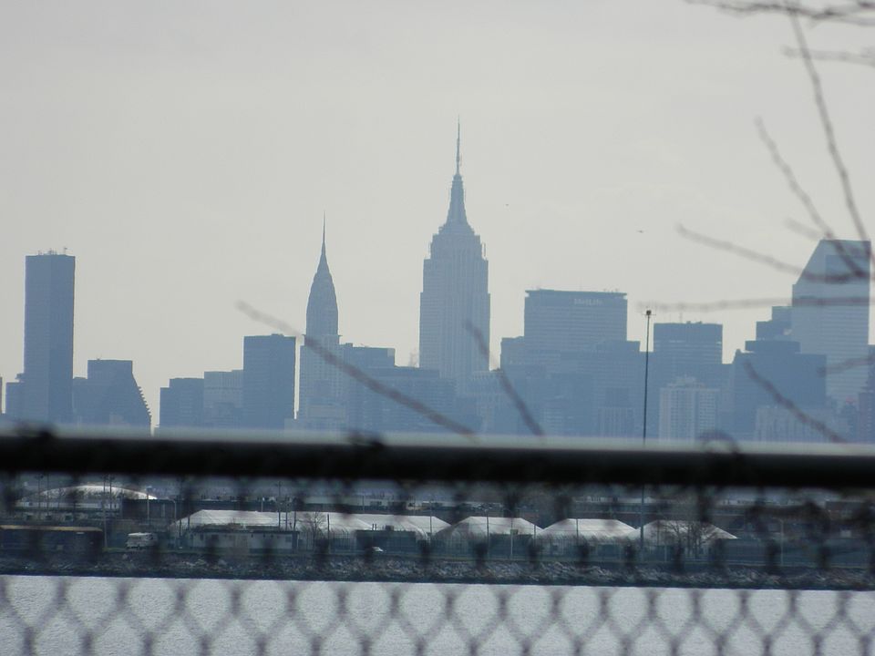 NY Skyline from park