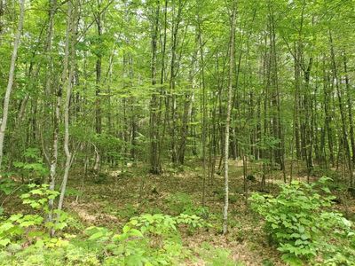 0 Bryant Mill Rd, Tamworth, NH, 03886