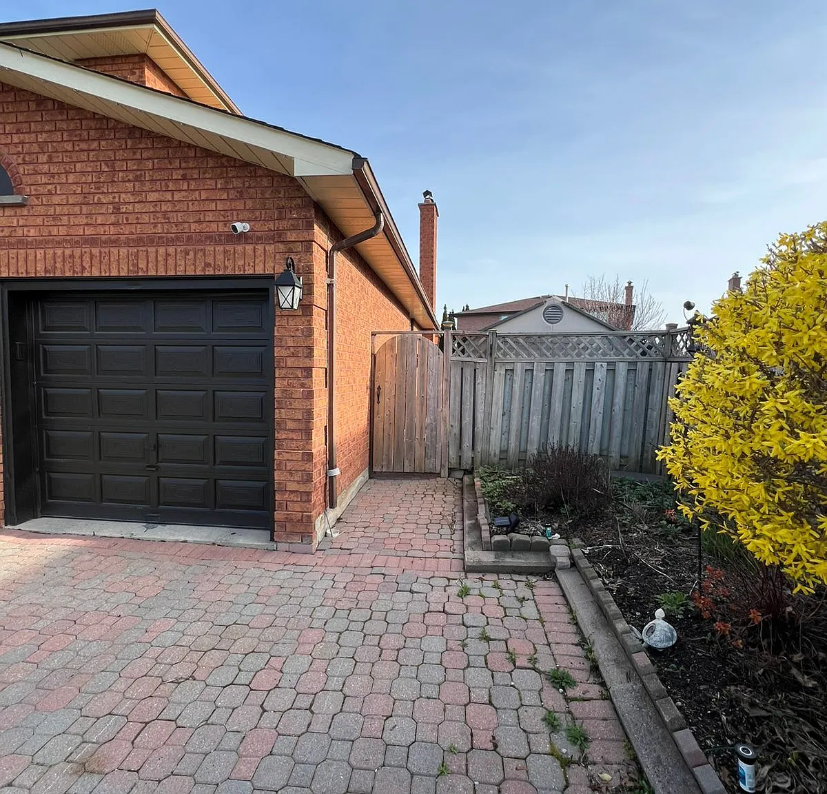 1 bed, $1,800 — Photo 2